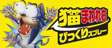 猫まわれ右