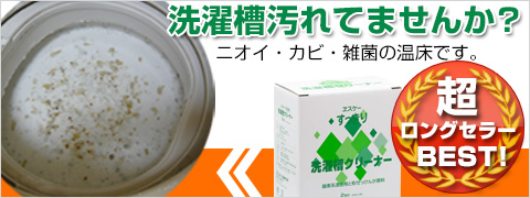 エスケー石鹸すっきり洗濯槽クリーナー